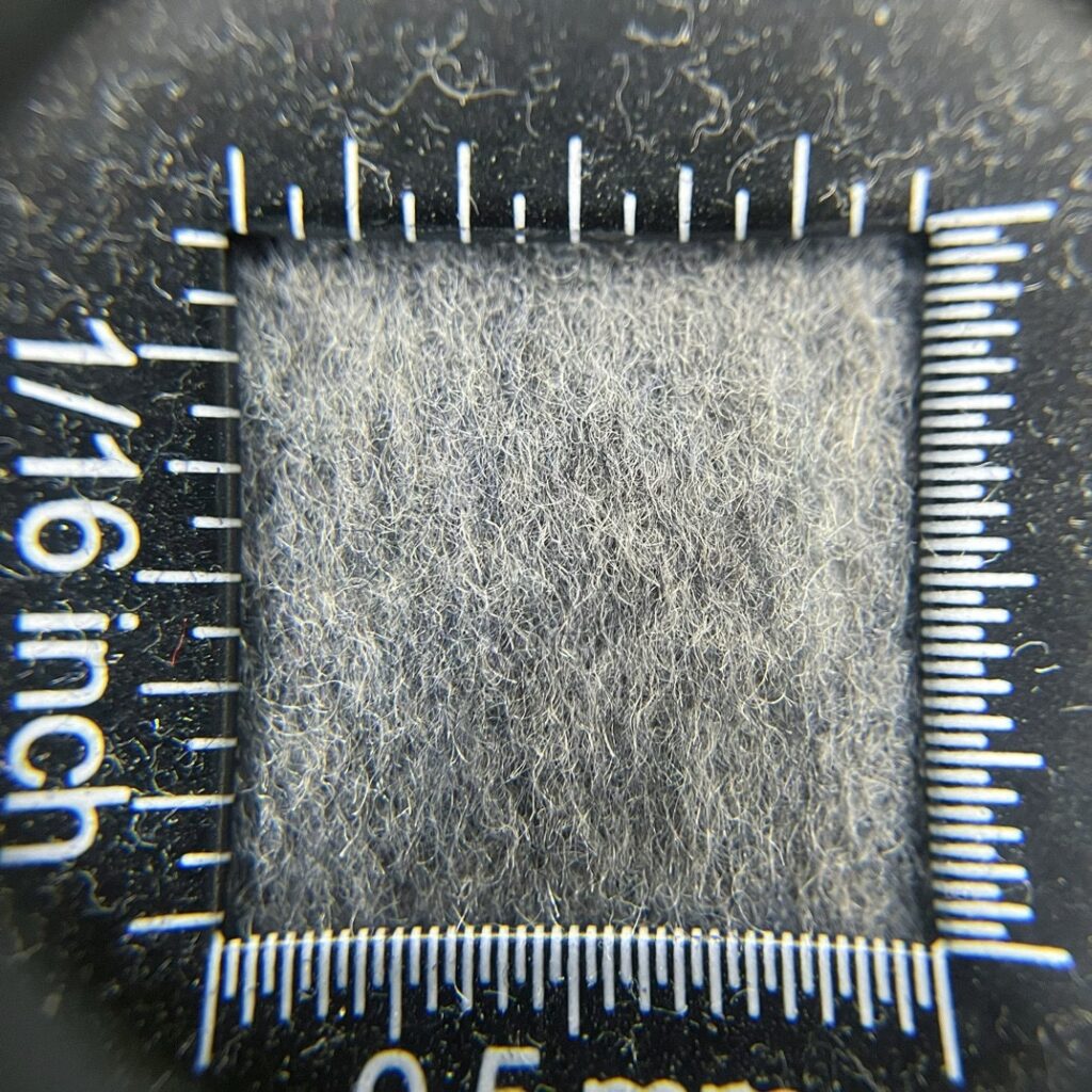 f5b316209a43226e10b84c406c947bfc_1741338627_4602.jpg
