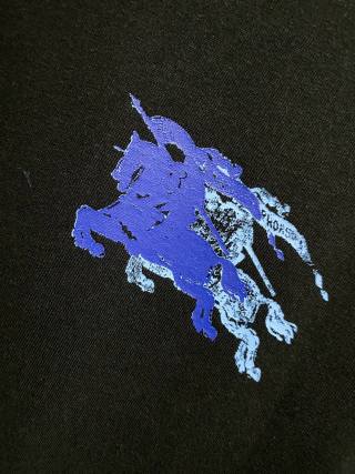 75d4fc2dea839ef010a30efa6457ac2b_1744268091_9486.jpg