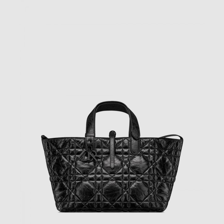 디올 Dior Toujours 미듐 백 M2821