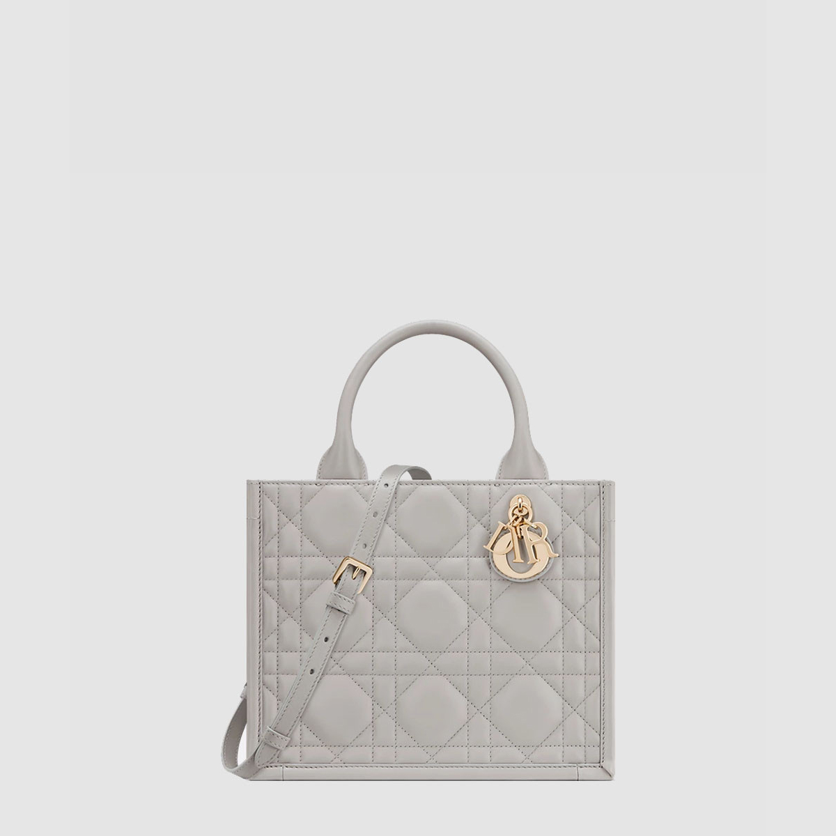 디올 Dior Book Tote 스몰 백 M1325OWHP
