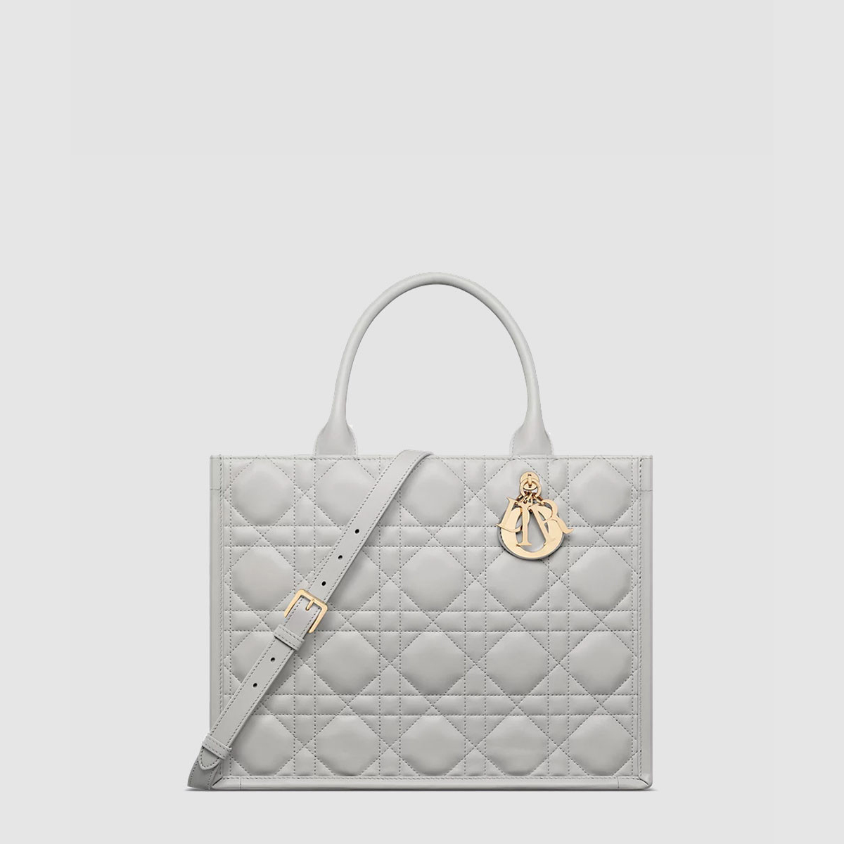 디올 Dior Book Tote 미디엄 백 M1324OWHP
